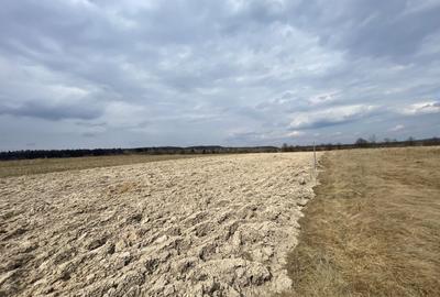 TEREN EXTRAVILAN | 23 ARI | HORODNIC DE SUS - 1