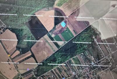 Clinceni-Ordoreanu intre padurea Teghes si Ordoreanu - 1