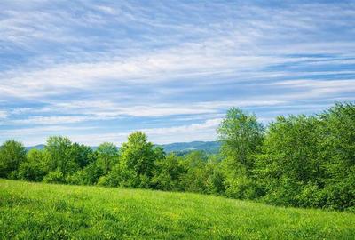 11.600mp teren, partial extravilan,Valea Mare Pravat, 2 km de Campulung Muscel - 1