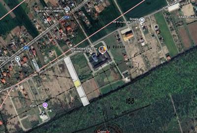 Vânzare URGENT Teren Ciofliceni Snagov Mănăstire - 2