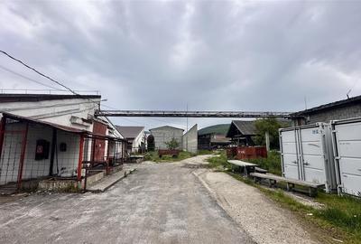 Hale industriale Teliu - 145000e /200.000e /350000e - 1