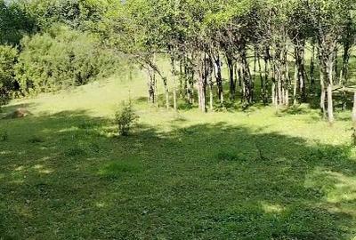 Teren extravilan de vânzare  comuna Șișești sat Șișești Maramures - 9