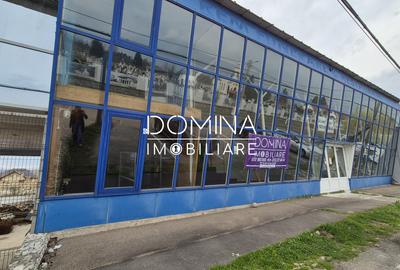 Închiriere spațiu comercial - 215 mp, vizibilitate stradală, str. Narciselor - 10
