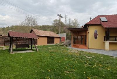 Casa cu 3 camere, 150 mpu, mobilata, utilata, garaj, curte, Ampoita - 22