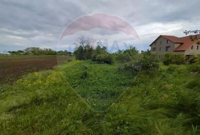 Teren 3,700mp Gulia/DN7 -20 km fata de Pta Victoriei -ideal investitie - 7