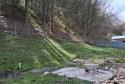 Casa din lemn si teren intravilan, Izvorul Muntelui, Neamt - 1