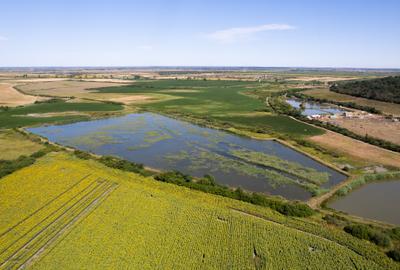 Pescarie/zona de agrement 66.500 mp - Ineu Comision 0% - 2