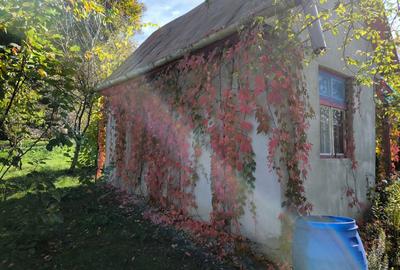 Gradina de vanzare cu constructii pe teren. - 6