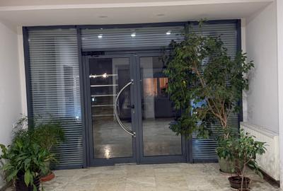 Penthouse exclusivist vedere parc Herastrau - 18