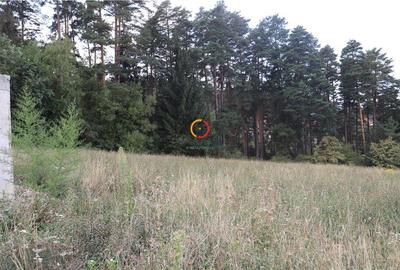 Teren intravilan cu PUZ si PUD 2 loturi - 7