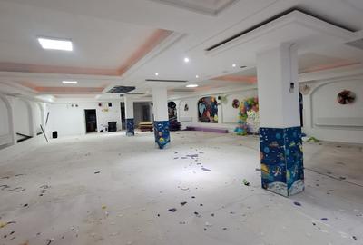 Ultracentral , spatiu comercial , 396 mp. - 1