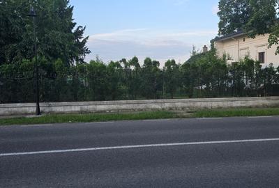 Teren d e vanzare 14000 mp , ultracentral Odobesti - 6