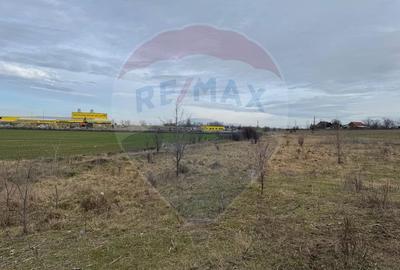 Teren agricol intravilan de 13800 mp, în 6 Vânători