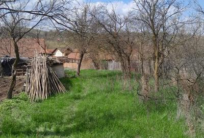 Teren de vanzare in Vaidei - 4