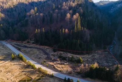 Oportunitate de investiție! Teren intravilan, Colibița, jud. Bistrița-Năsăud - 2