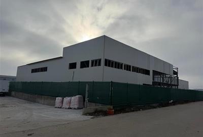 Vanzare depozit/hala/spatiu industrial Otopeni - Centura, Ilfov - 6
