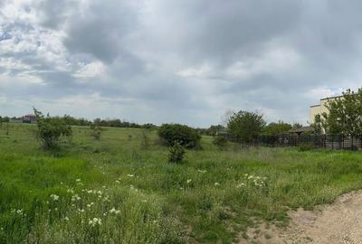 Domnesti - Str. Sfantul Dumitru, teren intravilan 1500 mp - 1