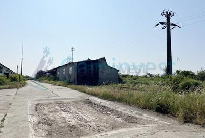 Complex industrial pe 25.659 mp teren, acces drum asfaltat, Bihor - 3