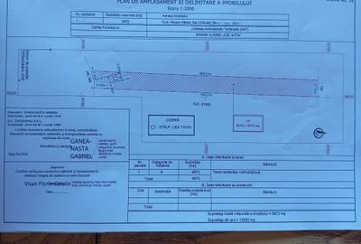 Teren 10 000mp | Caciulati - Moara Vlasiei | Deschidere 48m - 2