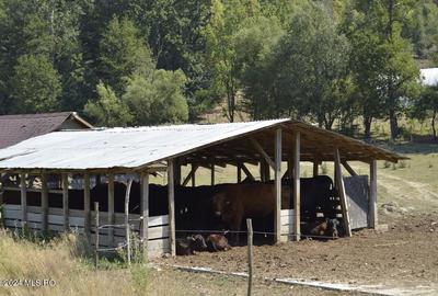 Bogati - Glimbocel, ferma zootehnica - cladiri 397 mp - teren 7490 mp! - 4