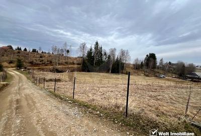 Teren pentru cabana, Risca, Valea Fericirii - 2
