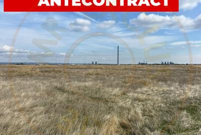 Teren Construcții extravilan de 10000 mp, în Albota