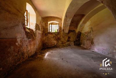 Vila Conac boieresc contelui Fabia 1920 de vânzare Păuliș Arad 2,4 ha - 14