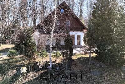 Casa de vacanta cu teren 2000mp Valea Avrigului - 2