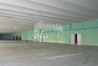 Spațiu Generos cu Terasă Circulabilă în Centru - 5