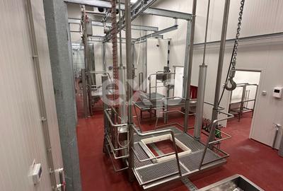 Black Angus Farm with authorized Slaughterhouse - 13