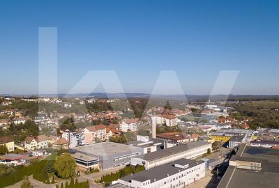 Complex Industrial de Vânzare – Zonă Industrială, Cisnădie, Sibiu - 10