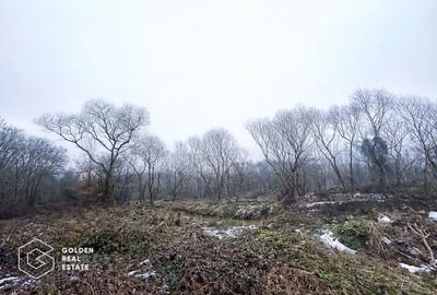 Teren agricol extravilan de 3900 mp, în Central