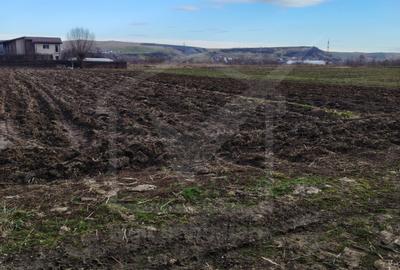 Teren de vanzare in Jucu de Mijloc - 1