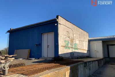 COMISION 0% Hala Industriala 500 mp cu Spatiu de Birou 200 mp in Buzias - 14
