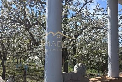 Vila 9 camere***gradina cu pomi fructiferi//1085 mp teren***Dragomiresti-Deal - 3