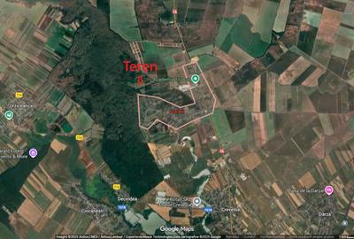Refugiu la marginea padurii — 2822 mp de liniste in Cocani. - 7