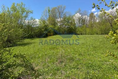 Teren Intravilan  – Provița de Jos | 1.939 mp | Curent electric - 5