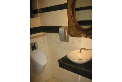 REV0005661 Vila renovata - zona Cismigiu - 12