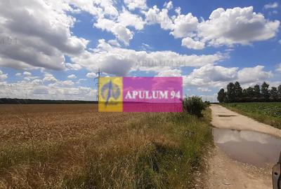 Teren 715mp în Snagov lângă Equestria - 19