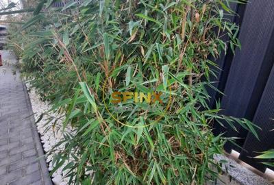 Iancu Nicolae Jolie Ville, vila noua de vanzare, 7 camere, 4 locuri de parcare - 54