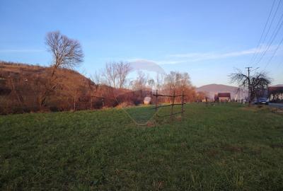 Teren Construcții intravilan de 2619 mp, în Bârsana