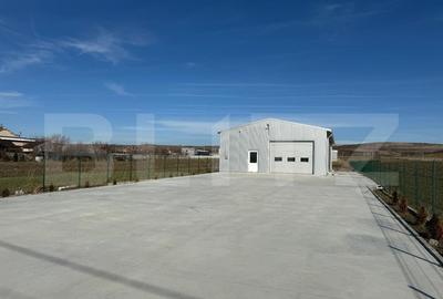 Hala 194 mp utili, platforma betonata 770 mp si teren total de 1.500 mp, Racari - 1