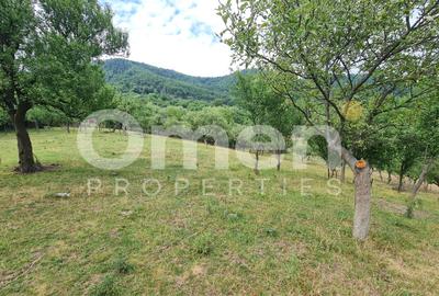 Teren de vânzare | Suprafață 10.040 mp | 2.500 € / ar | Strada Nucului - 5