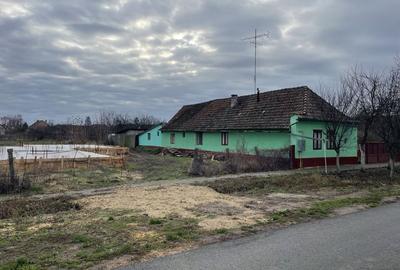 Casă și teren 2177 mp Ortisoara -28ml front-comision 0 - 1