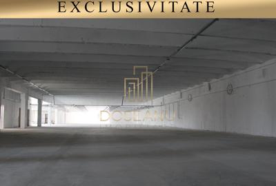 SPATIU INDUSTRIAL - HALA | LES | BIHOR - 1