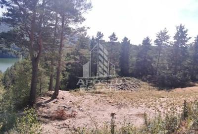 Teren intravilan, 2000mp, cu vedere panoramica spre lacul Valiug - 10