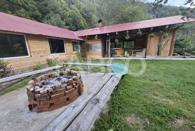 Spatiu de vanzare in Valea Macesului judel Valcea iesire la Lotru - 31