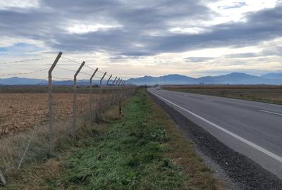 Teren cu PUZ industrial la DN 13 - 1