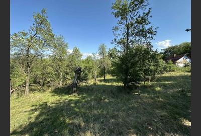 Vânzare teren Reșița: 17260 mp, Calea Caransebeșului - 3