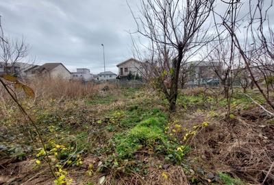 TEREN 1110mp  |  KAMSAS  |  CONSTANTA - 1